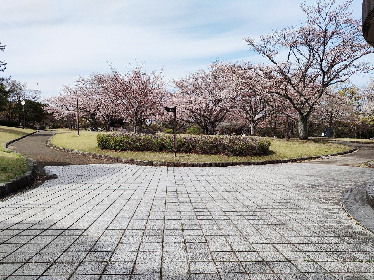 色補正_南立石公園